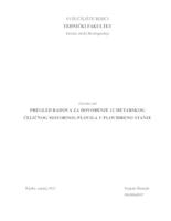 PREGLED RADOVA ZA DOVOĐENJE 12 METARSKOG ČELIČNOG MOTORNOG PLOVILA U PLOVIDBENO STANJE