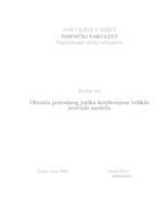 Obrada prirodnog jezika korištenjem velikih jezičnih modela